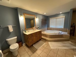328-toilet-tub-b4-demo