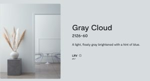 bm-gray-cloud-2126-60