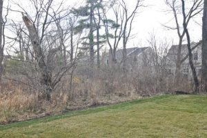 246-cater-libertyville-skycrest-homes-llc-img93a1dee600a56a38_9-3686-1-b29032b