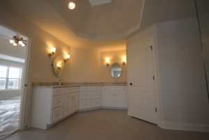 ashwood-park-naperville-corktree-1-skycrest-homes-llc-img2481548402fa1daf_9-6919-1-b5474ab