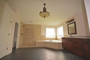 ashwood-park-naperville-corktree-2-skycrest-homes-llc-img7391faf5045146ef_9-5819-1-2747a59