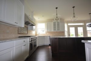 ashwood-park-naperville-corktree-2-skycrest-homes-llc-img9d81c6cd045146e7_9-5819-1-adeec80