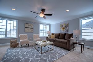 naperville-berg-skycrest-homes-llc-img4ad1500c0ae8fe80_14-8817-1-1ffd2f5